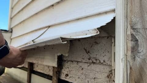 Why Cheap Vinyl Siding Costs More in the Long Run